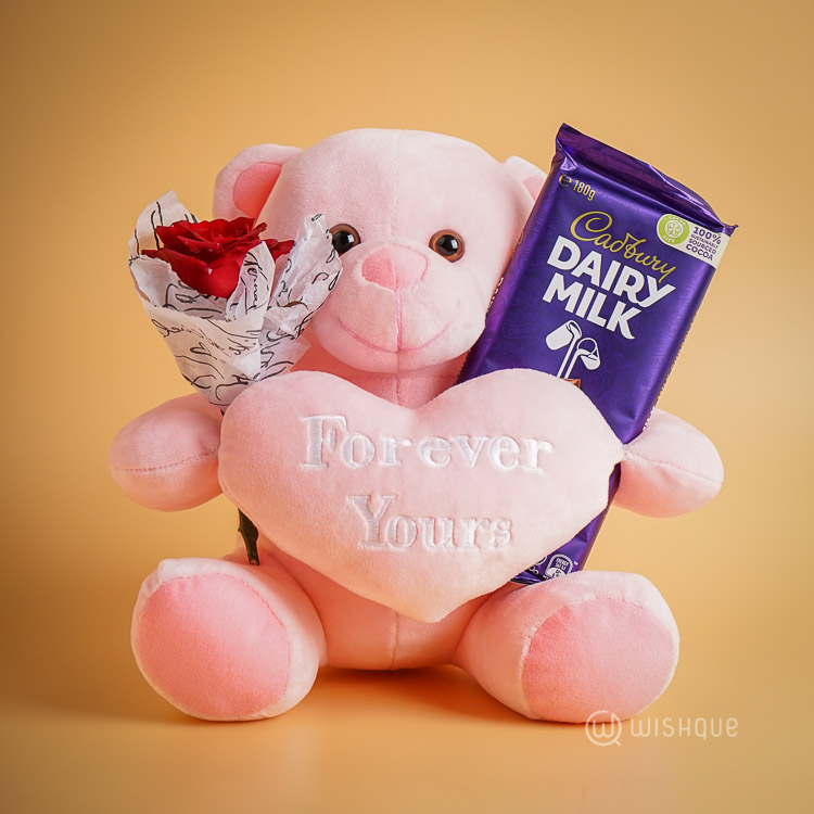 Teddy bear clearance gift