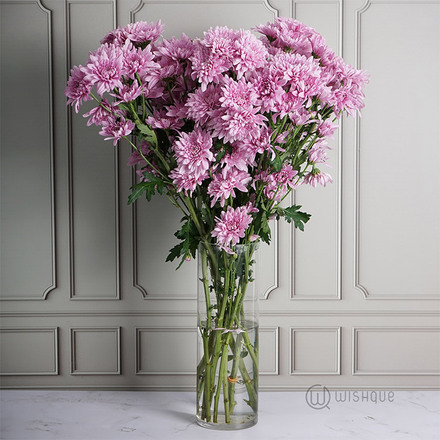 Lavender Chrysanths Cut Flowers