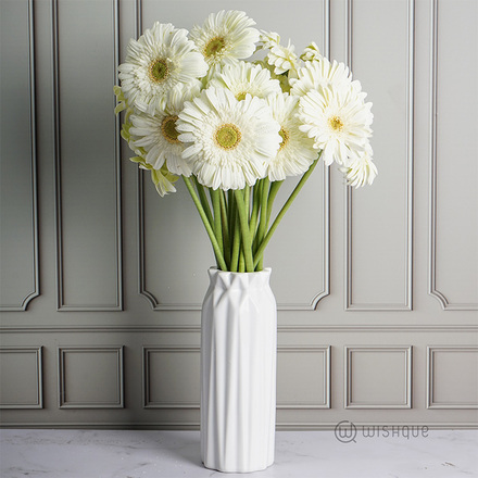 Pearl White Gebera Cut Flowers