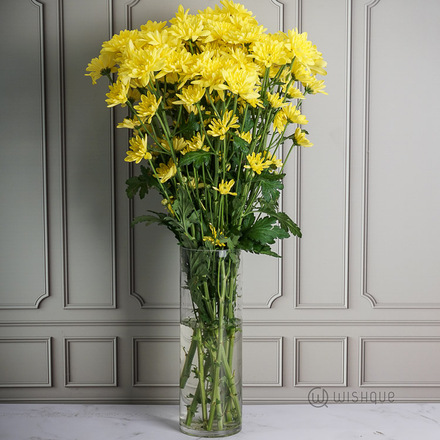 Lemon Chrysanths Cut Flowers