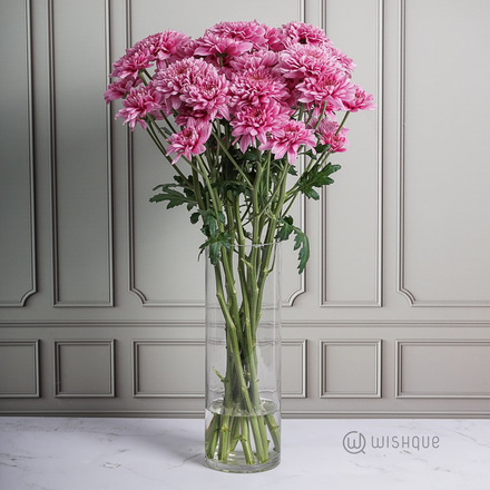 Fuscia Chrysanths Cut Flowers