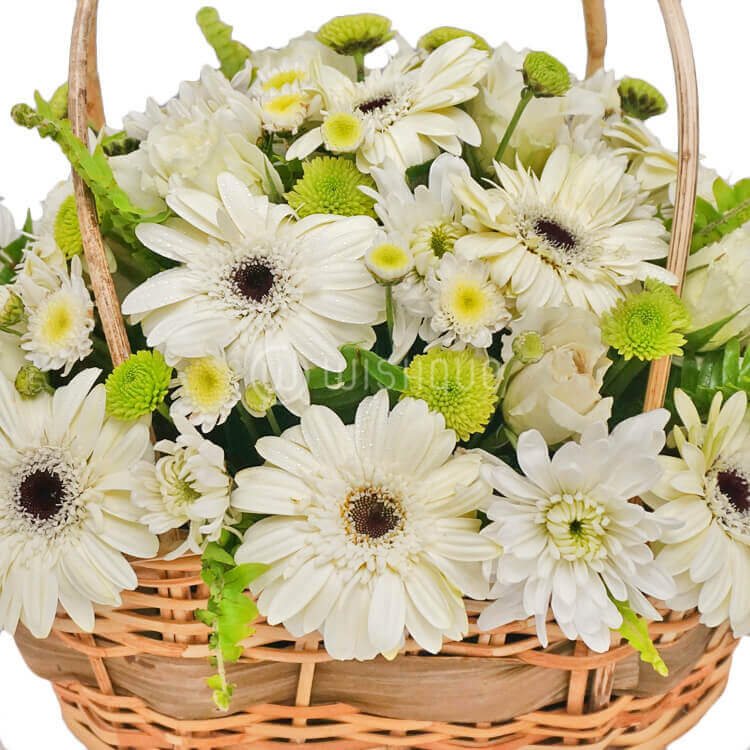 Sympathy Flower Basket - Wishque | Sri Lanka's Premium ...