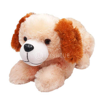 extra large teddy for dogs