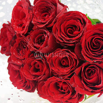 Now and Forever 12 Roses Bouquet