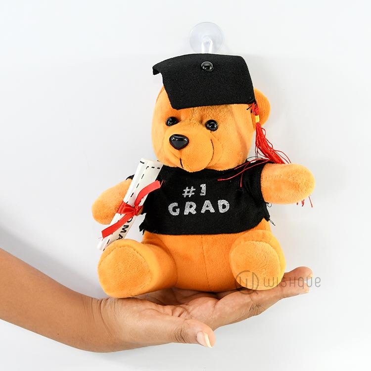 2019 graduation teddy bear