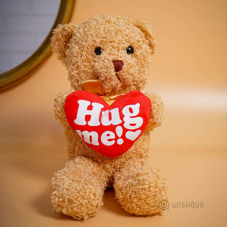 Hug Me Teddy Bear