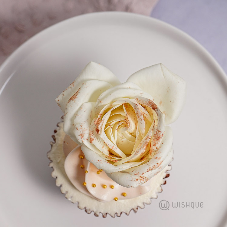 Fresh Rose Macarons Pastel Cupcake